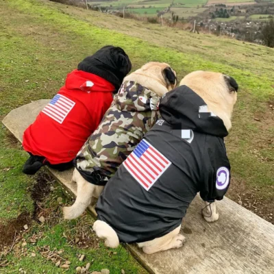 Rompevientos para Perros