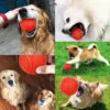Pelota de Goma "Titán" para Perros