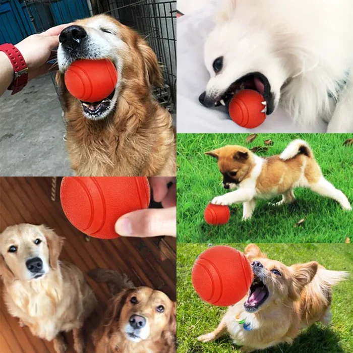 Pelota de Goma "Titán" para Perros