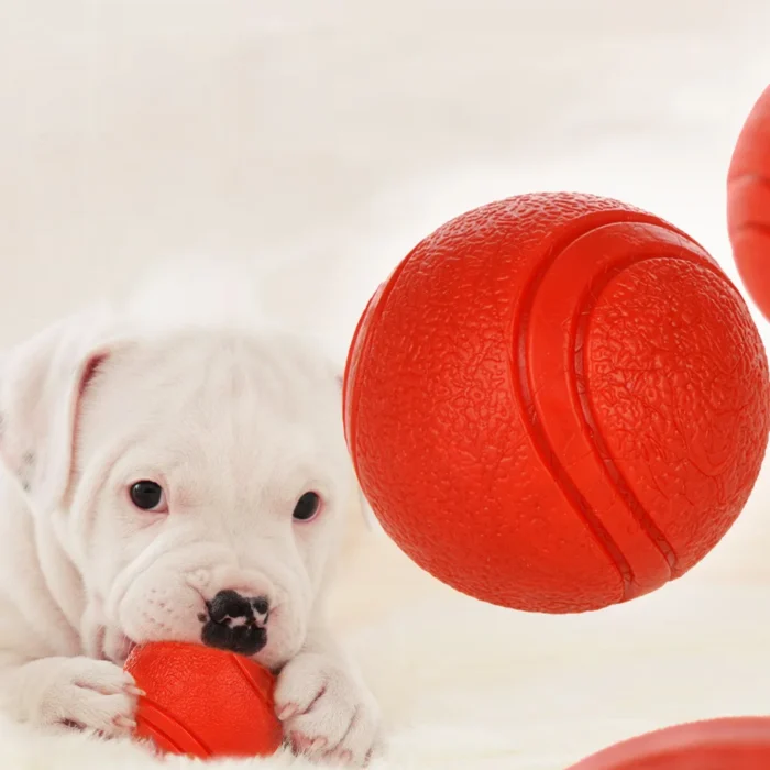 Pelota de Goma "Titán" para Perros