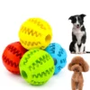 Pelota Interactiva Masti-Delici