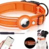 Collar de Seguridad con Porta AirTag