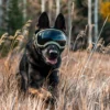 Gafas de Sol "Todo Terreno" para Perro