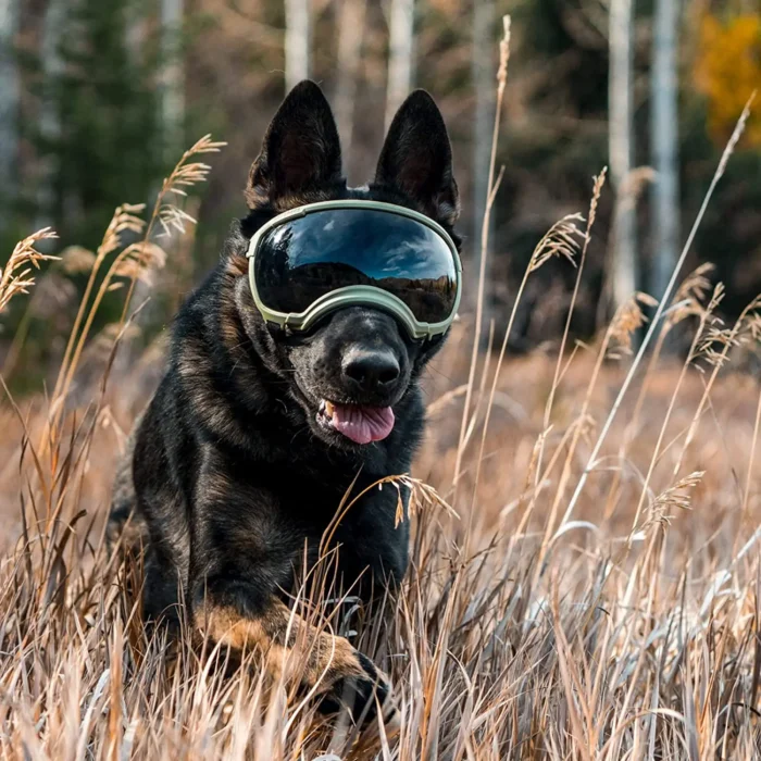 Gafas de Sol "Todo Terreno" para Perro