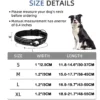 Collar de Seguridad con Porta AirTag