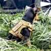Arnés Táctico para Mascotas