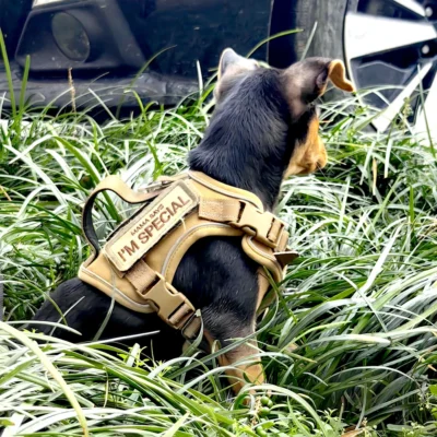 Arnés Táctico para Mascotas