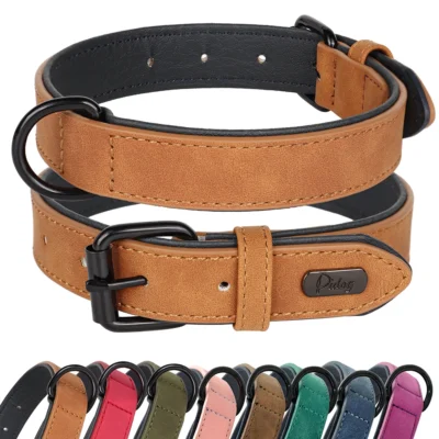 Collar de Piel "Legado" para Perros Grandes