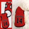 Jersey Shohoku