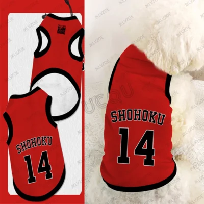 Jersey Shohoku