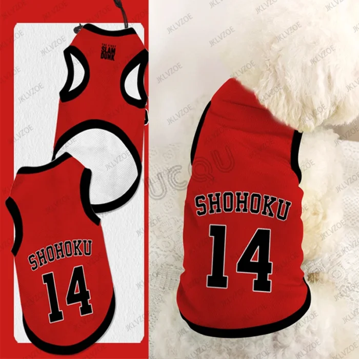 Jersey Shohoku