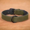 S3f18426556c34144b4f3b0e7751a6782A-4.webp Collar de Piel "Legado" para Perros Grandes