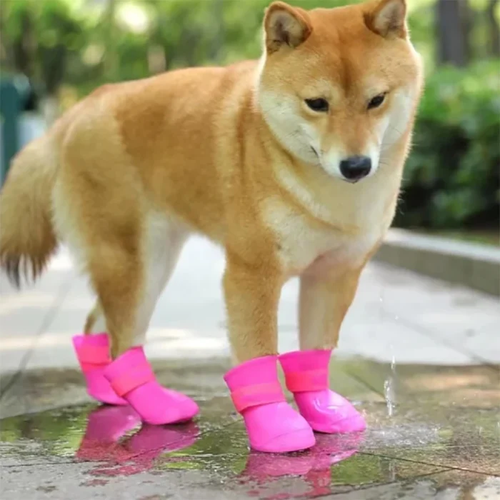 Botas para lluvia
