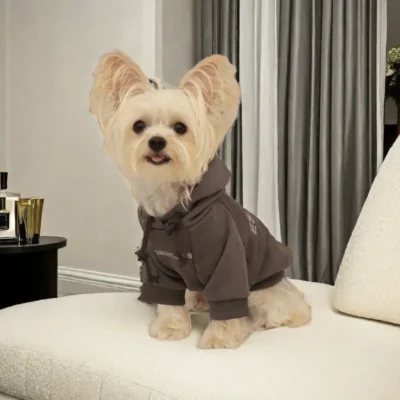 Sudadera para Perro Estilo Urbano