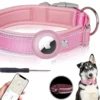 Collar de Seguridad con Porta AirTag