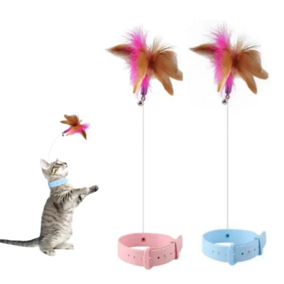Collar Interactivo para Gato