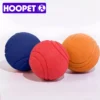 Pelota de Goma "Titán" para Perros
