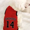 Jersey Shohoku