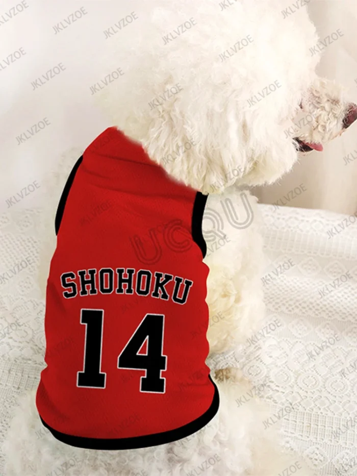Jersey Shohoku