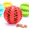 Pelota Interactiva Masti-Delici