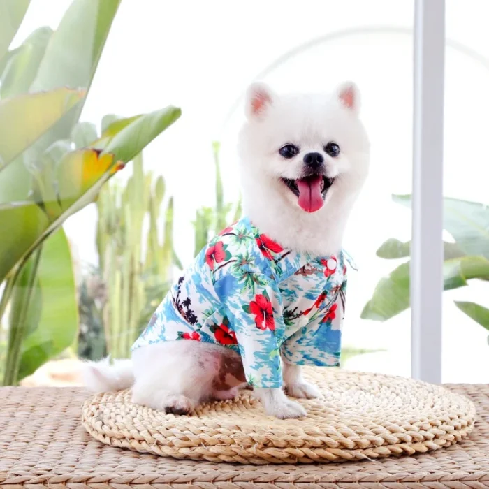 Camisa Hawaiana para Mascota