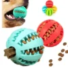 Pelota Interactiva Masti-Delici