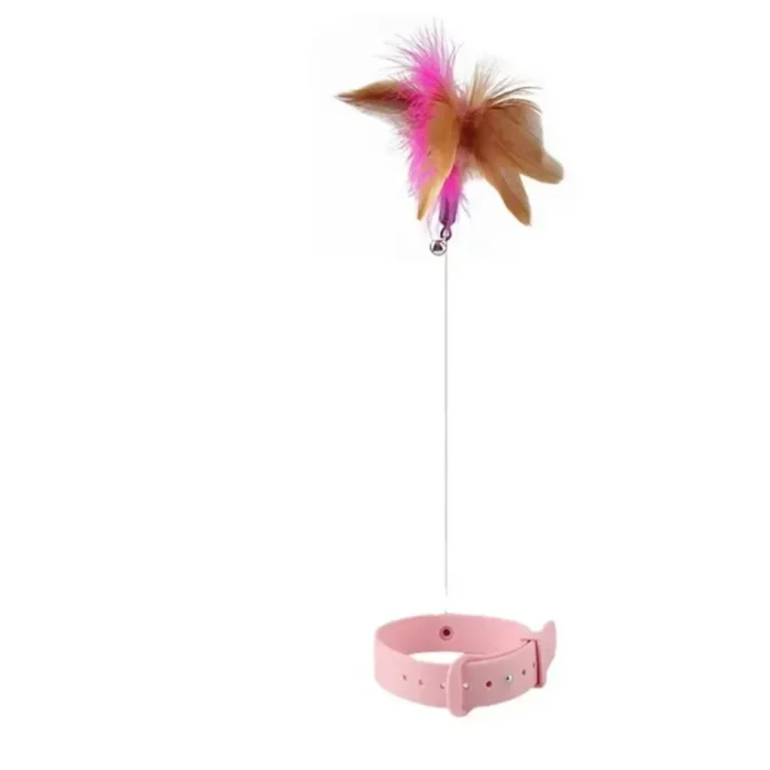 Collar Interactivo para Gato