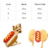Disfraz de Hot Dog