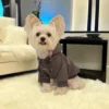 Sudadera para Perro Estilo Urbano