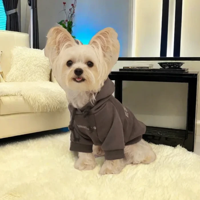 Sudadera para Perro Estilo Urbano