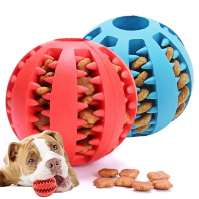 Pelota Interactiva Masti-Delici