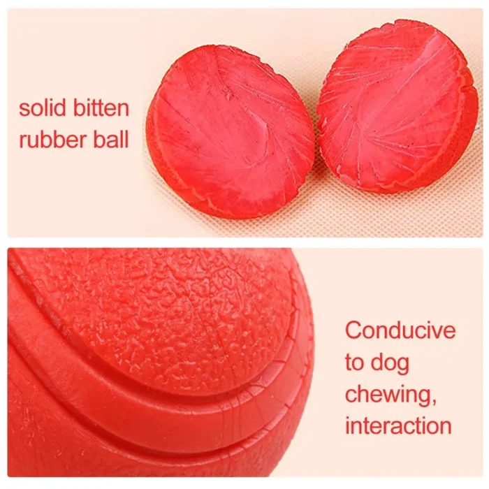 Pelota de Goma "Titán" para Perros