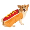 Disfraz de Hot Dog