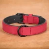 Sdd0b14b4c7654383ae98d49228362e81f-4.webp Collar de Piel "Legado" para Perros Grandes