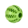Pelota Interactiva Masti-Delici