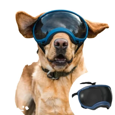 Gafas de Sol "Todo Terreno" para Perro